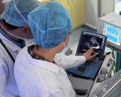 В Китае медики извлекли из желудка восьмилетней девочки клубок волос весом в 500 граммов. Фото: AFP
