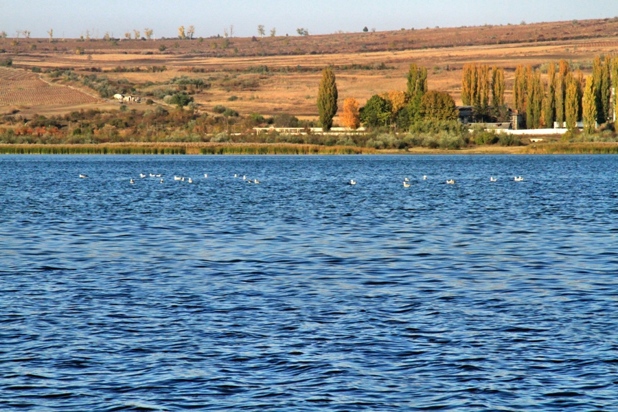 Lacul de acumulare Ghidighici ar putea inunda Chișinăul și unele suburbii, dacă nu va fi redusă presiunea apei asupra barajurului.