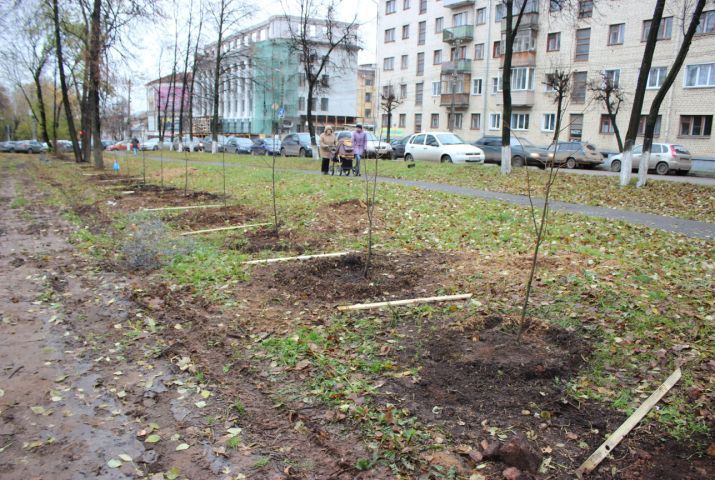 Для этого из экологического фонда выделены 1,5 миллиона леев.