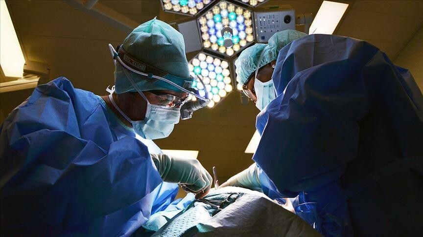 În China, pentru prima dată, unei persoane i-au fost transplantate simultan doi rinichi și un ficat de porc.