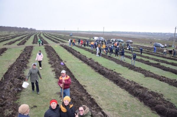 Более пяти тысяч саженцев высадили в Копчаке в рамках экологической акции.
