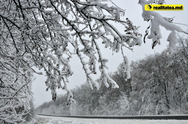 Ночная температура в новогоднюю ночь может опуститься до -14 градусов.