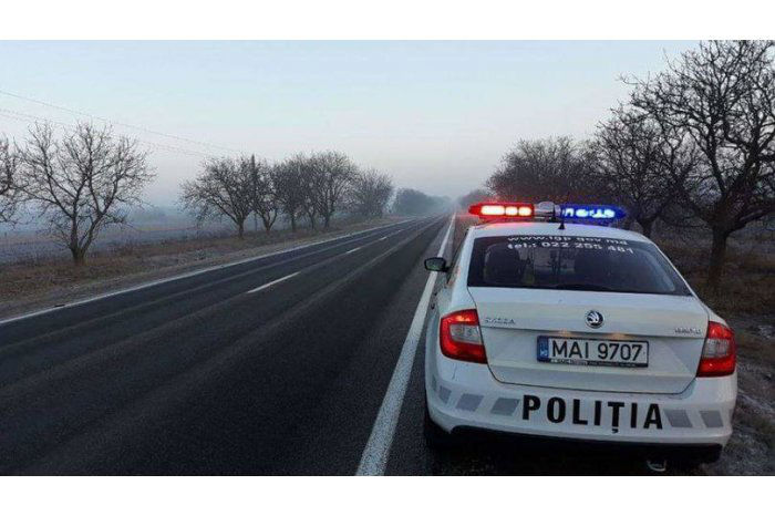 В Молдове за выходные дни оштрафовали почти 300 пешеходов