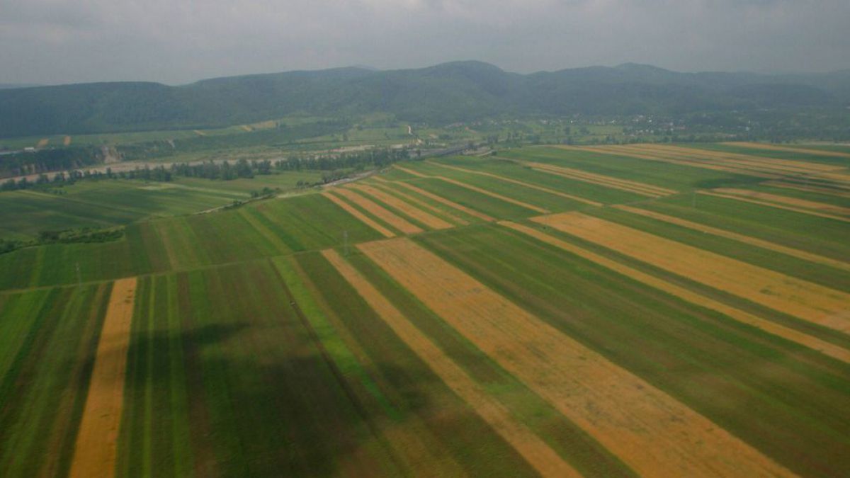 Posesorii de terenuri agricole amplasate după traseul Rîbniţa-Tiraspol vor primi despăgubiri. Foto: provincial.md
