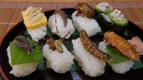 Insectele sunt mai hrănitoare decât carnea care se consumă în mod obișnuit. Foto: glamroz.com