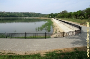 Circa 100 de bănci noi vor fi instalate în parcul „Valea Morilor” din capitală, noteazăprime.md.
