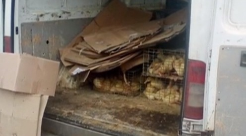 В Дрокиевском районе из продажи изъяли 125 кг мяса.