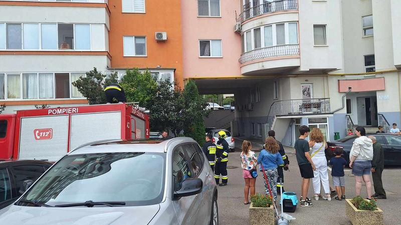 В Кишиневе пожарные спасли застрявшую на балконе кошку.