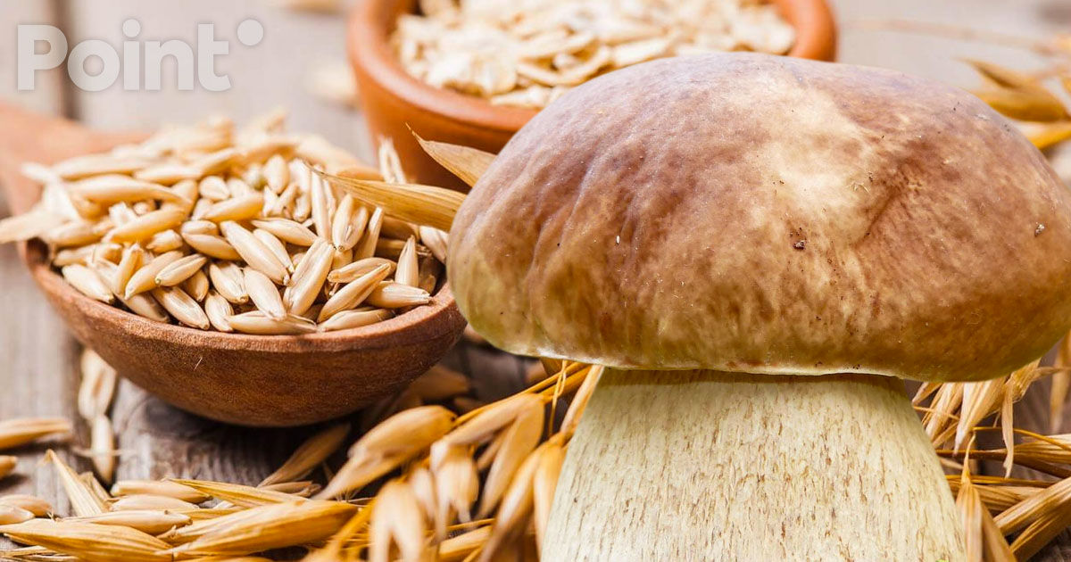 Un component alimentar care elimină din organism „substanțele chimice eterne”, identificat.