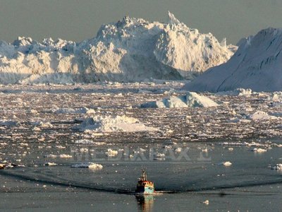 Un canion de până la 1.500 de metri adâncime favorizează fenomenul topirii gheţarilor din Antarctica