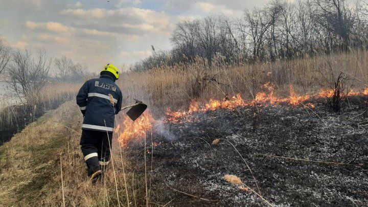 Пожары в Молдове: за сутки сгорели 120 гектаров сухой травы и камышей.