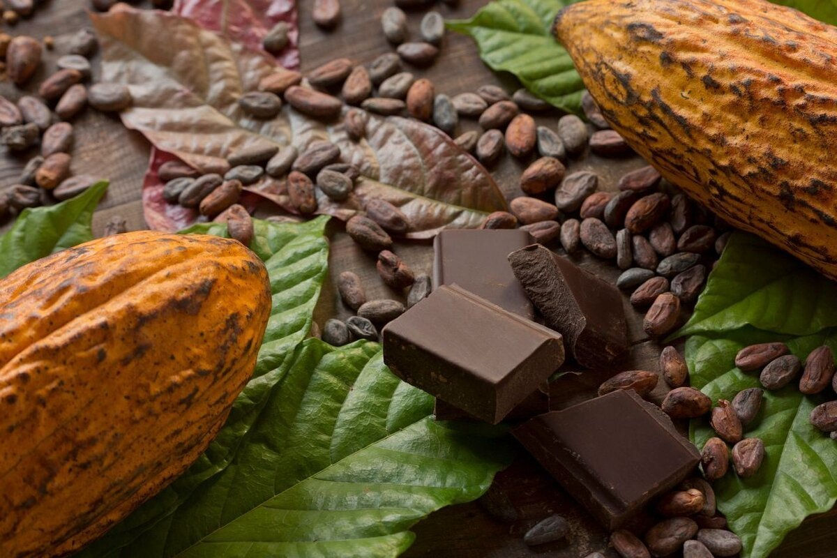 Ciocolata va costa cât aurul: Prețul la cacao a crescut cu 400% din cauza încălzirii globale.