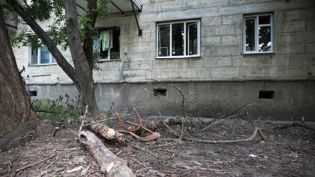 Власти рекомендуют кишиневцам внимательнее следить за ветками.