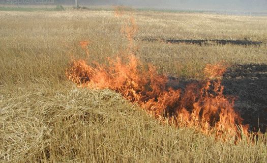 На большей части территории Молдовы действует желтый уровень метеоопасности из-за риска возникновения пожаров.
