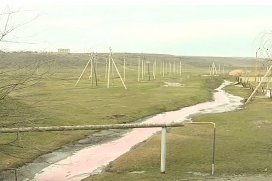 Эксперты рассказали, опасна ли "розовая вода" вблизи Ялпуга.