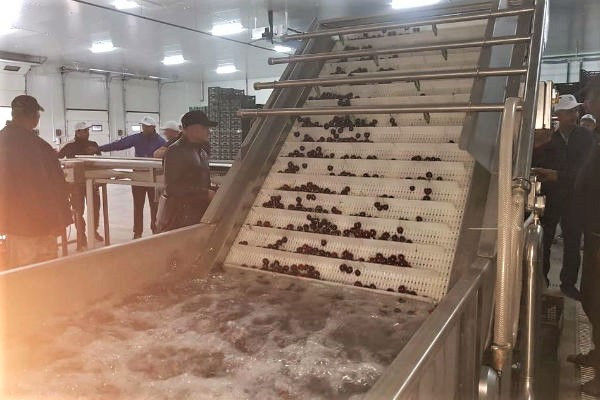 Система охлаждения черешни водой введена в эксплуатацию впервые в Молдове.