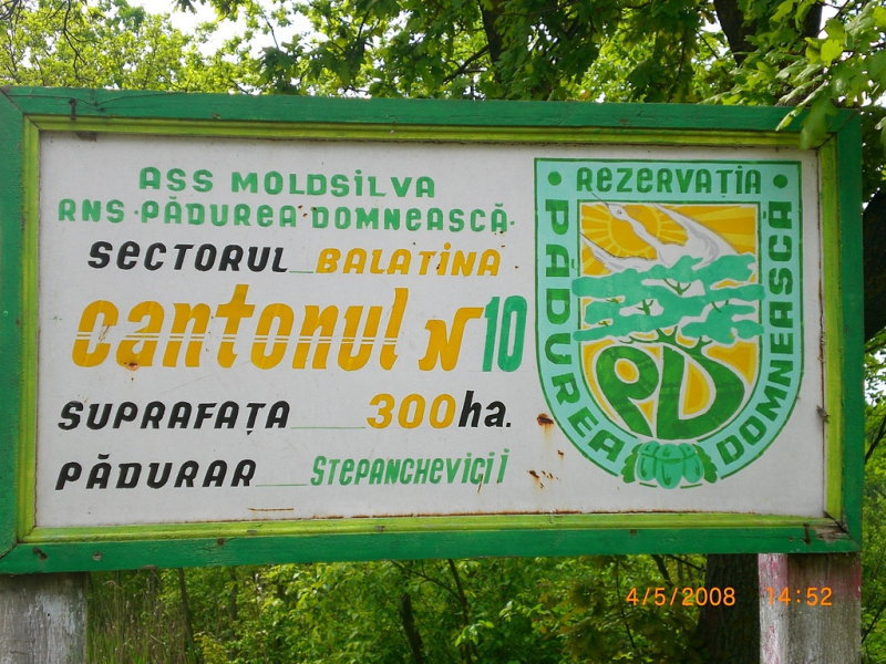 Случай в Pădurea Domnească - это событие, которое отметило Республику Молдова в 2013 году. Фото: vacante.md