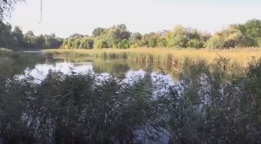 Появились подробности о гибели мужчины, чье тело обнаружено в озере.