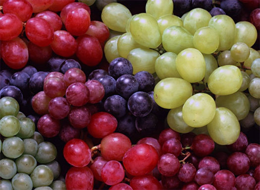 А вот винограда собрали на 30% меньше, чем год назад. Фото: vinograd.info.
