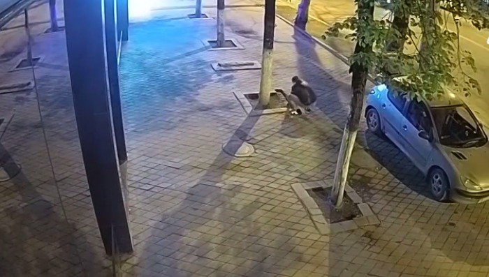 Hoțul a fost prins de oamenii legii.