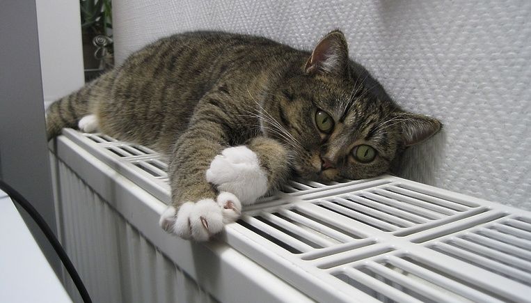 Многоэтажные жилые дома сектора Буюкань вновь были подключены к теплу.