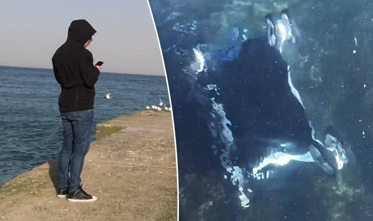 На помощь ребенку нырнула мать, а после их бросился спасать неравнодушный отдыхающий.