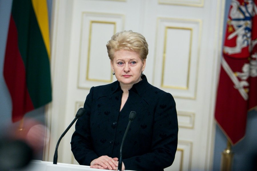 По словам главы Литвы, Украина воюет с Россией за всю Европу. Фото: dcdn.lt