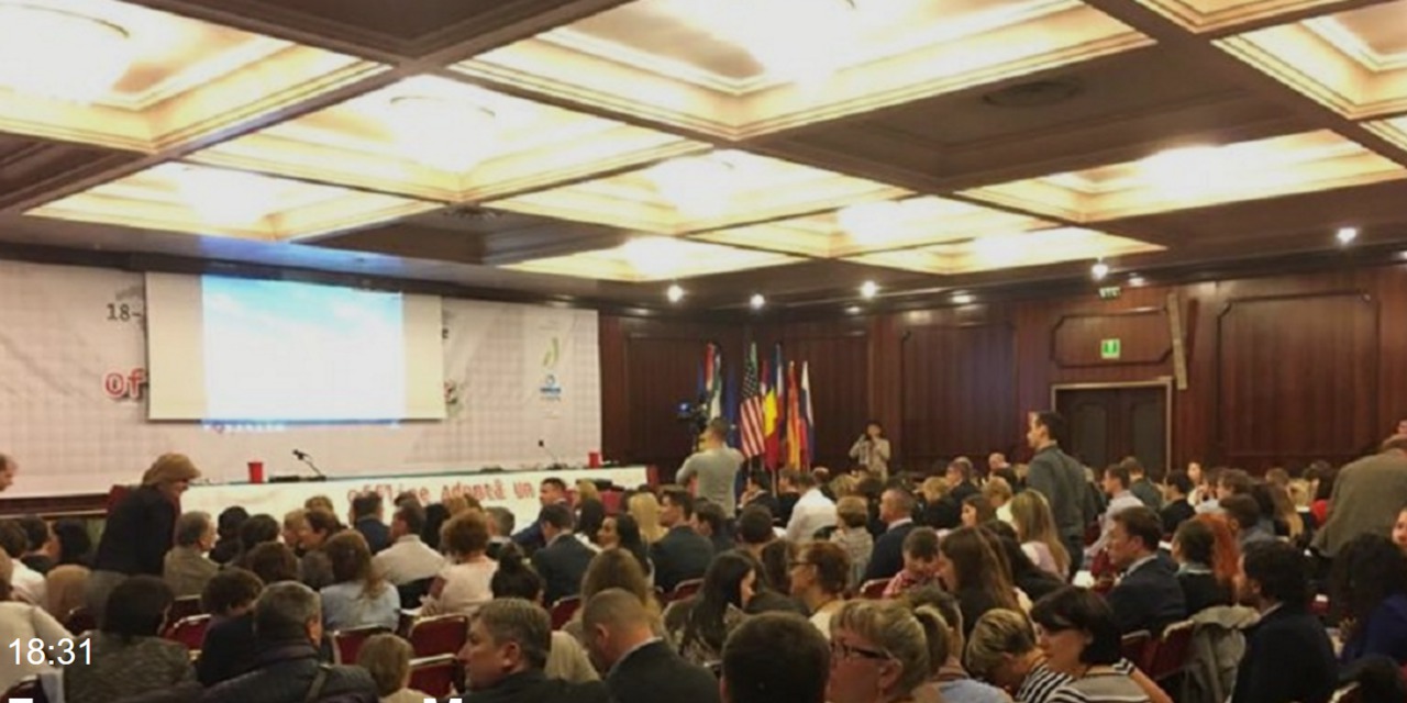 Молдавская диаспора по итогам форума в Венеции приняла декларацию. Фото: Facebook