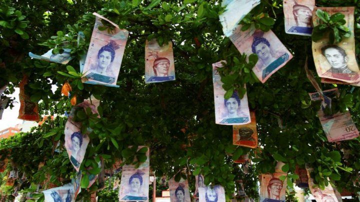 Venezuela: Pom de Crăciun decorat cu bani. Foto: publika.md
