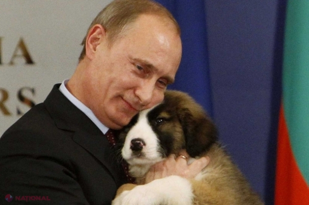 Preşedintele rus Vladimir Putin este împins „între corzi” de preţurile în scădere la petrol.