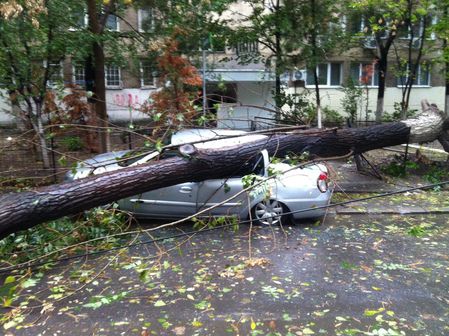 Şi-a parcat maşi na în curtea blocului, iar peste câteva ore s-a trezit cu un copac peste ea. Foto:gandul.info