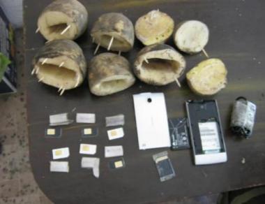 Gardienii au depistat o cantitate de masă vegetală, uscată şi mărunţită