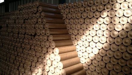 Menționăm că investiţia totală a comunităţii şi a Proiectului Energie şi Biomasă la instalarea noului sistem de încălzire a fost de circa 129 000 dolari americani. 