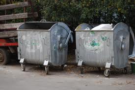 Teleconferința este prilejuită acțiunii mondiale „Să curățim natura de gunoi”. Foto: observator.md