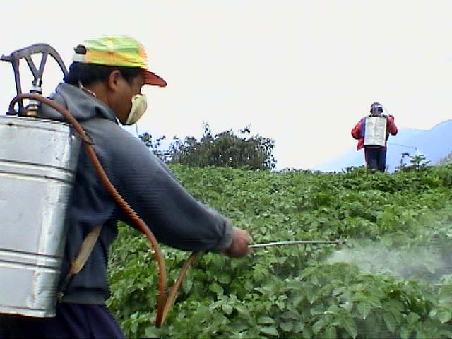 Publicația locală „Gazeta de Sud” scrie că pesticidele de la Grădinița erau păstrate în depozit. Foto: environmentalhealthnews.org