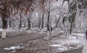 Totodată, codul portocaliu pentru ploi și vânt este în desfășurare.