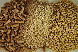 Шрот был размещён в изолированном складе на ответственное хранение, а после возвращен владельцам.