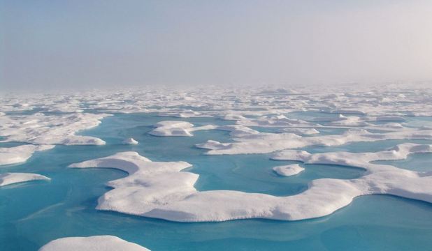 Descoperirea vine ca o veste bună pentru planetă, având în vedere că fitoplanctonul este un mare consumator de dioxid de carbon.