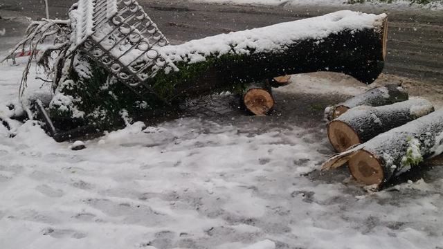 Grădina Zoologică va fi închisă timp de 10 zile. Foto:radiochisinau.md