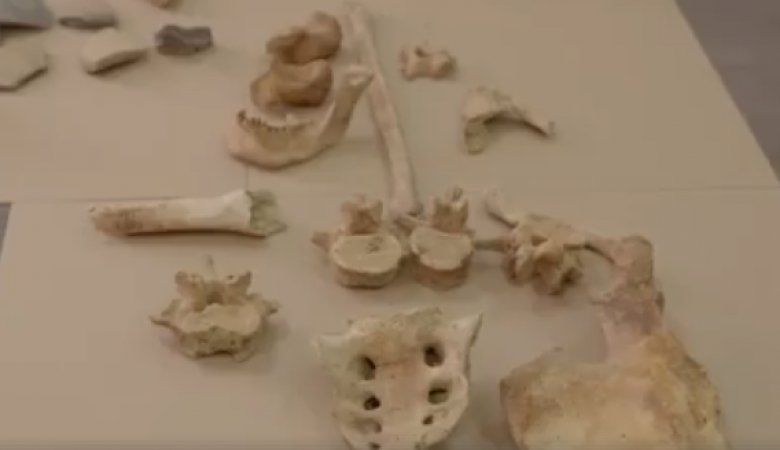 Osăminte din cultura geto-dacă, descoperite în satul Bălțeana