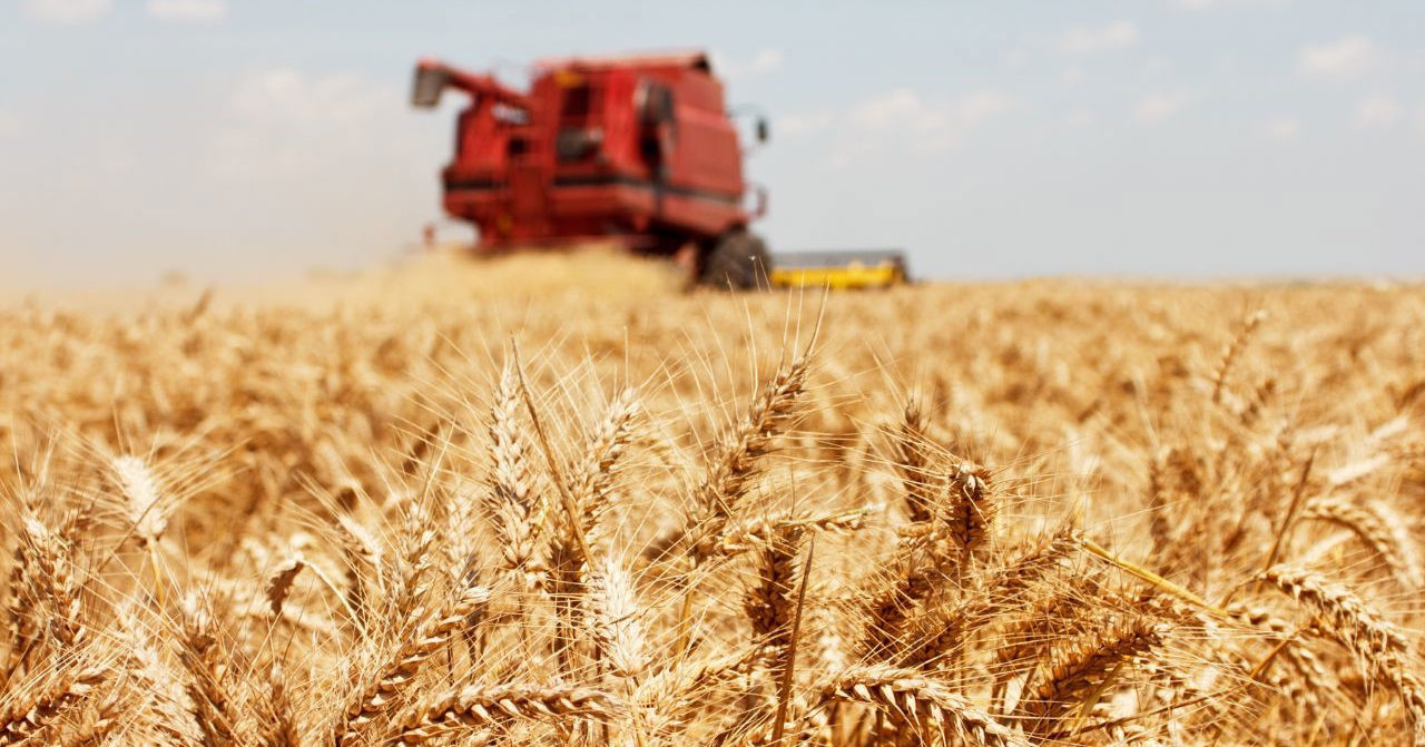 Din acest an, noiembrie este declarată luna agricultorului în Moldova.