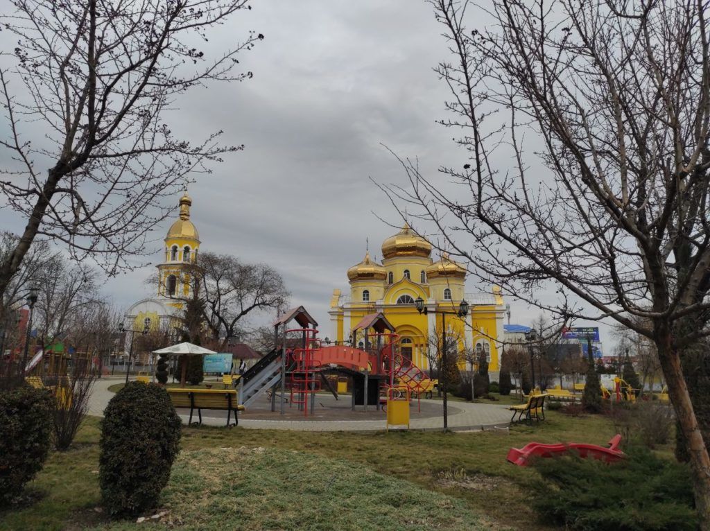 Примэрия Комрата отрицает причастность к травле собак.