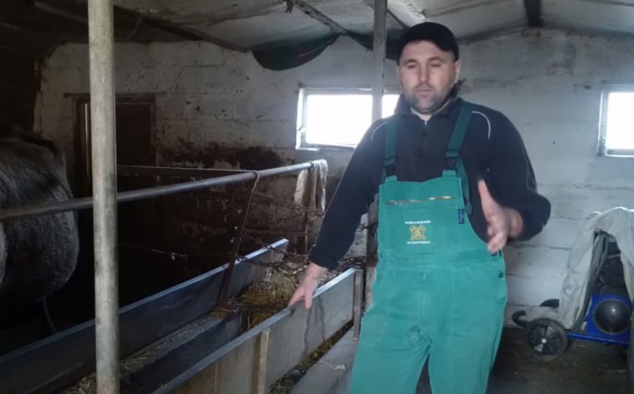 Cât lapte e în lapte. Fermierul nevoit să-și abandoneze afacerea. Foto: Captură video