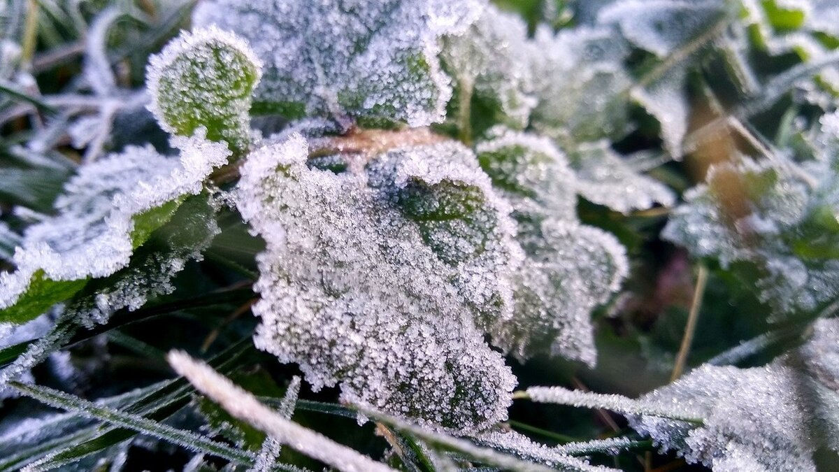 Avertizare meteo: Cod Galben de înghețuri în Republica Moldova.