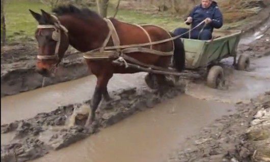 Calul înhămat la trăsura cu care se deplasa a alunecat și a căzut în mijlocul drumului, cuprins de apă și noroi. Foto: stirilocale.md