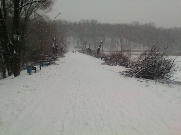 Parcul din „Valea Trandafirilor” din sectorul Botanica al Capitalei a rămas fără o alee. Foto: facebook.com