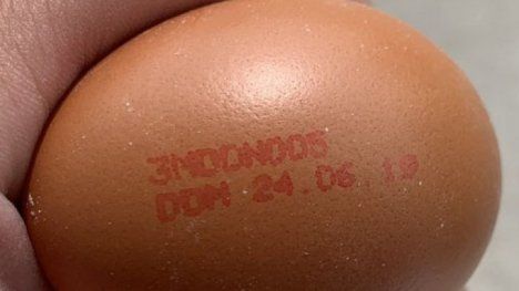 Национальное агентство безопасности пищевых продуктов (НАБПП) объявило о важных изменениях в маркировке яиц.