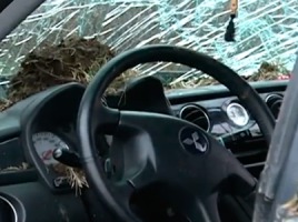 Bulevardul Dacia din Capitală continuă să fie strada cu cel mai sporit risc de producere a accidentelor. Foto: crime.md