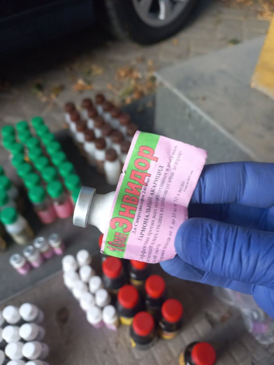 В Дубэсарий Векь сотрудники ТС задержали партию фитосанитарных средств.