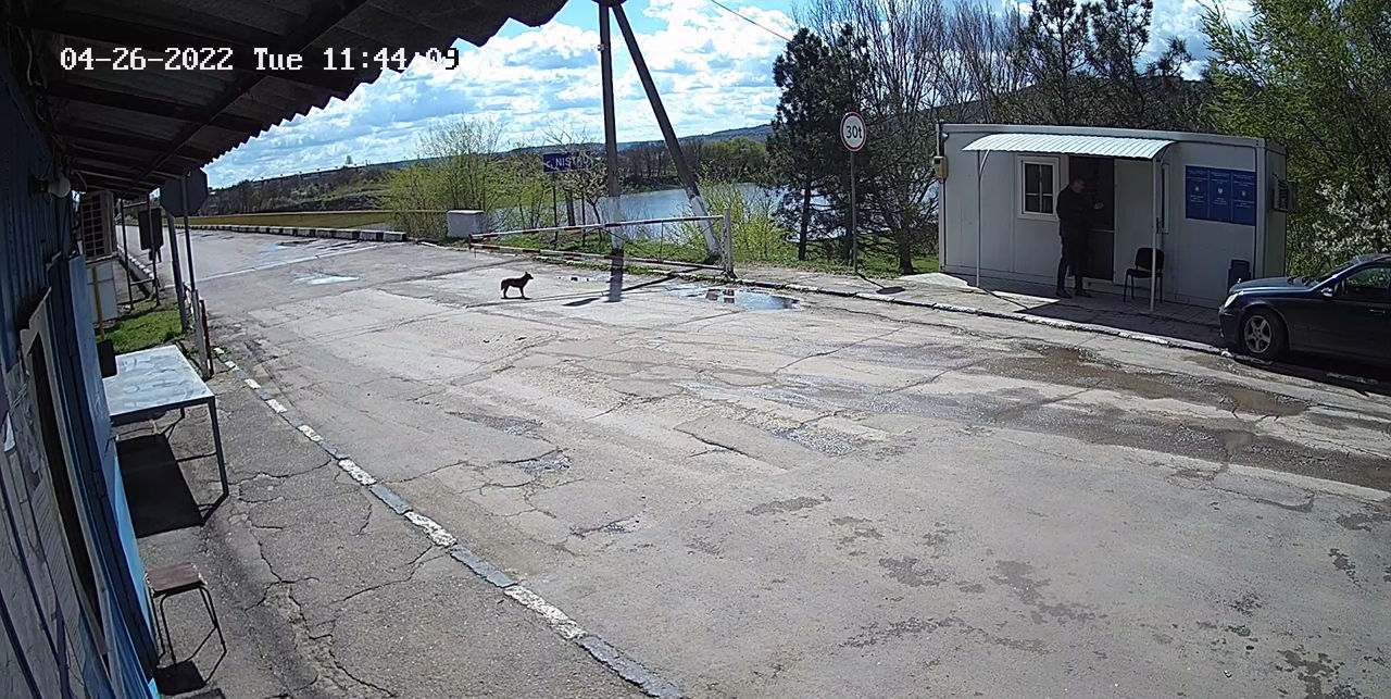 В пунктах внутреннего таможенного контроля не наблюдается очередей.